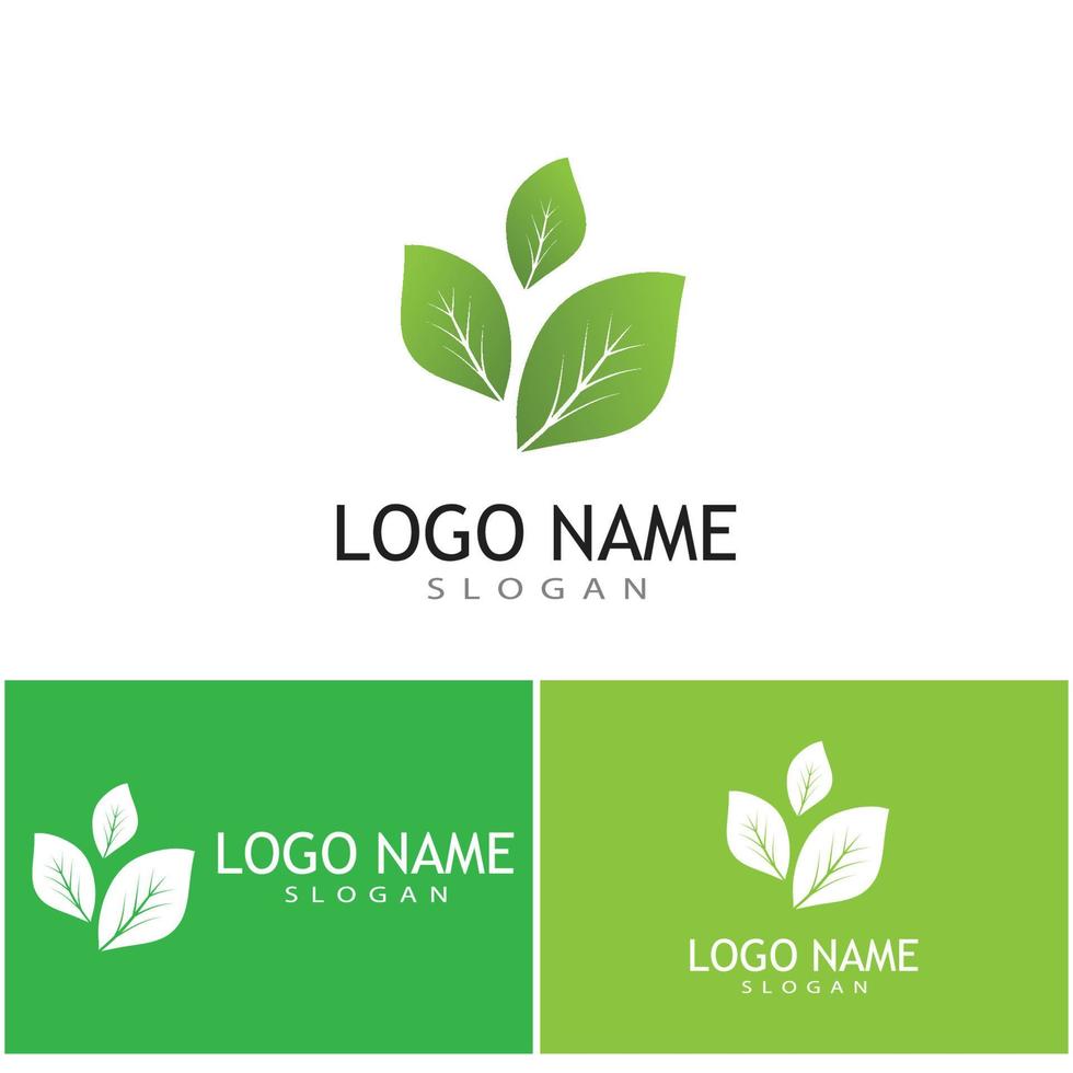 Mint leaves flat vector color icon template illustration design