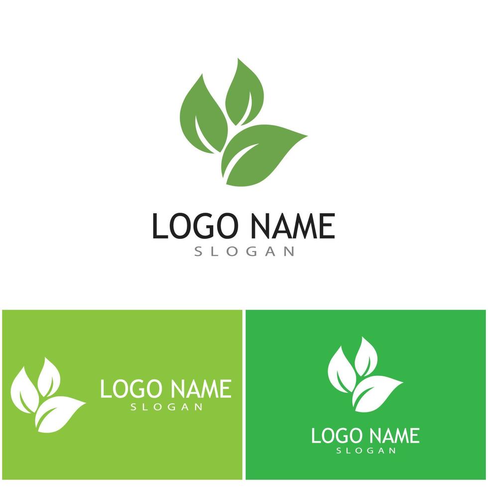 Mint leaves flat vector color icon template illustration design