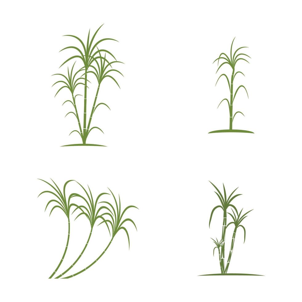 Sugar cane Logo Template vector symbol nature