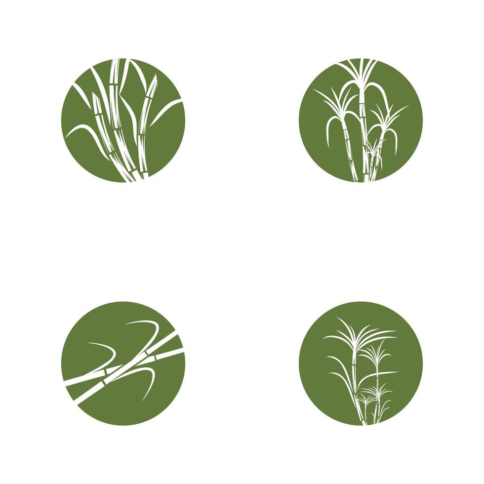 Sugar cane Logo Template vector symbol nature