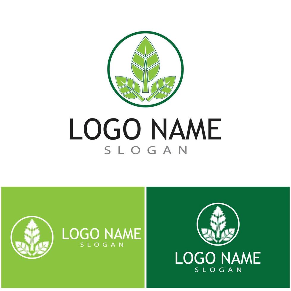 Leaf icon Vector Illustration design Logo template