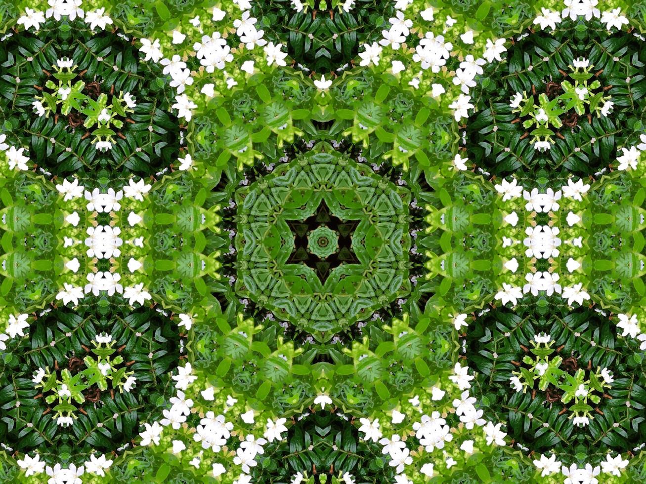 Abstract background in green color. Green leaves kaleidoscope. photo