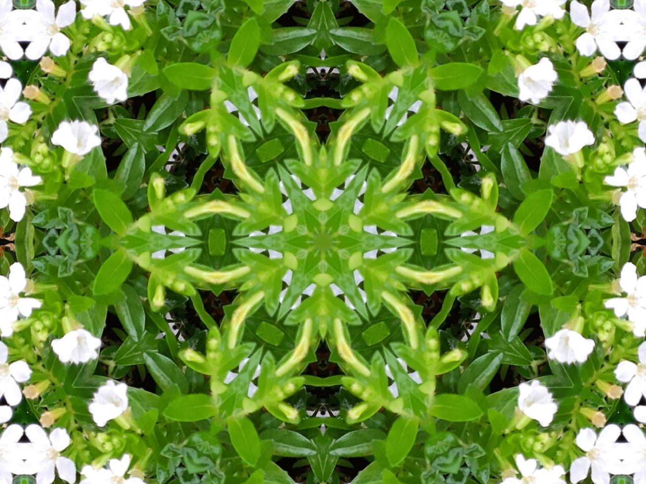 Abstract background in green color. Green leaves kaleidoscope. photo