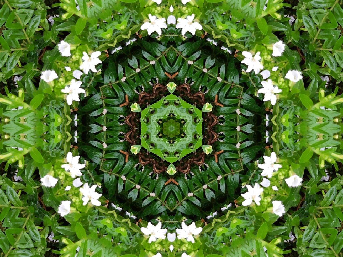 Abstract background in green color. Green leaves kaleidoscope. photo