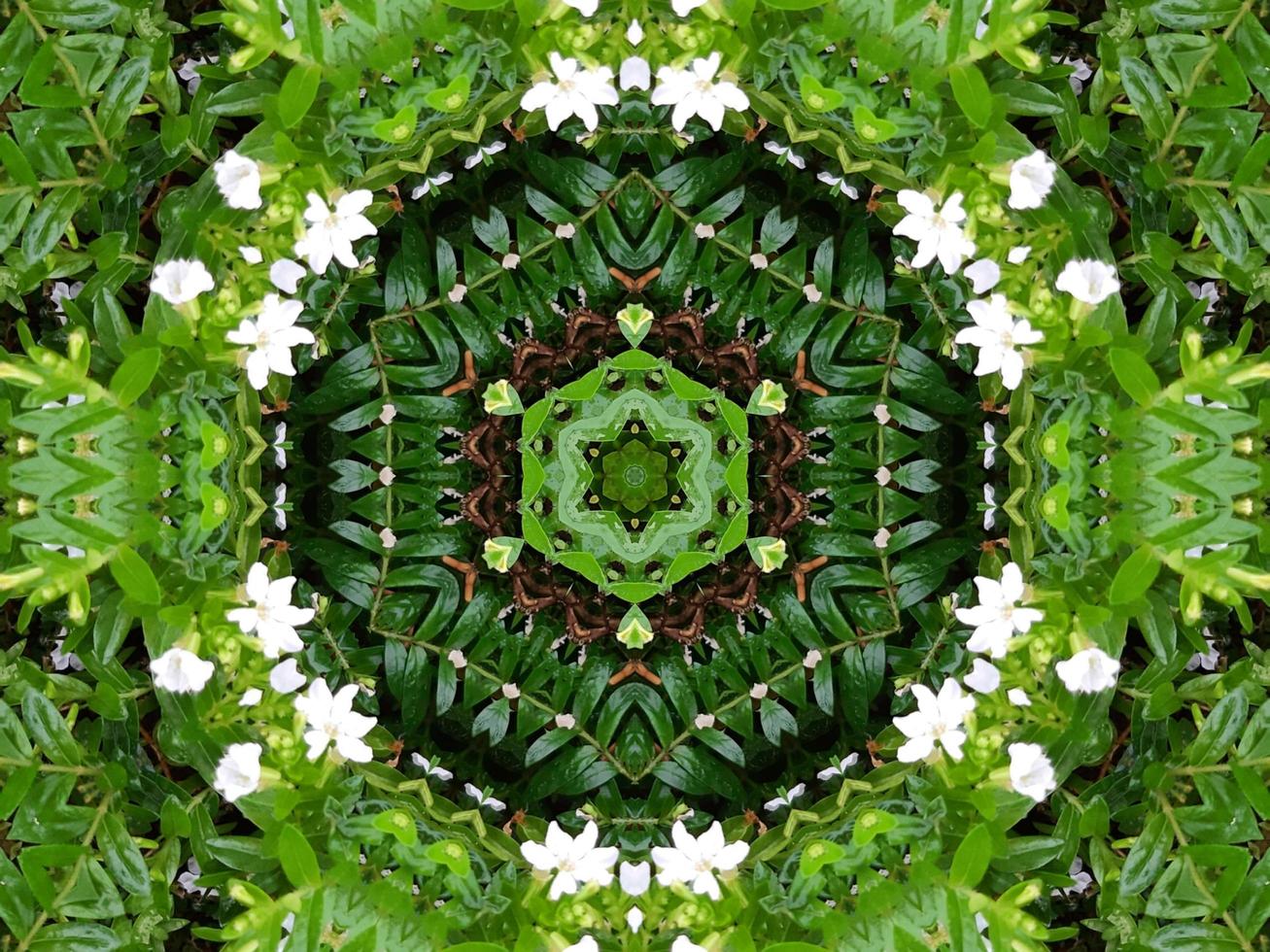 Abstract background in green color. Green leaves kaleidoscope. photo