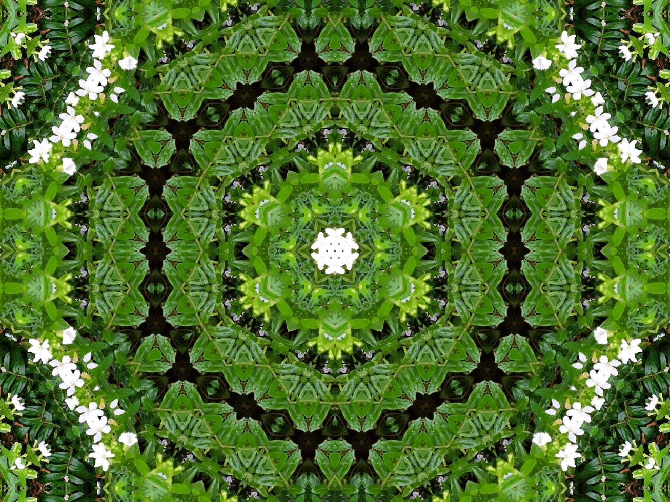 Abstract background in green color. Green leaves kaleidoscope. photo