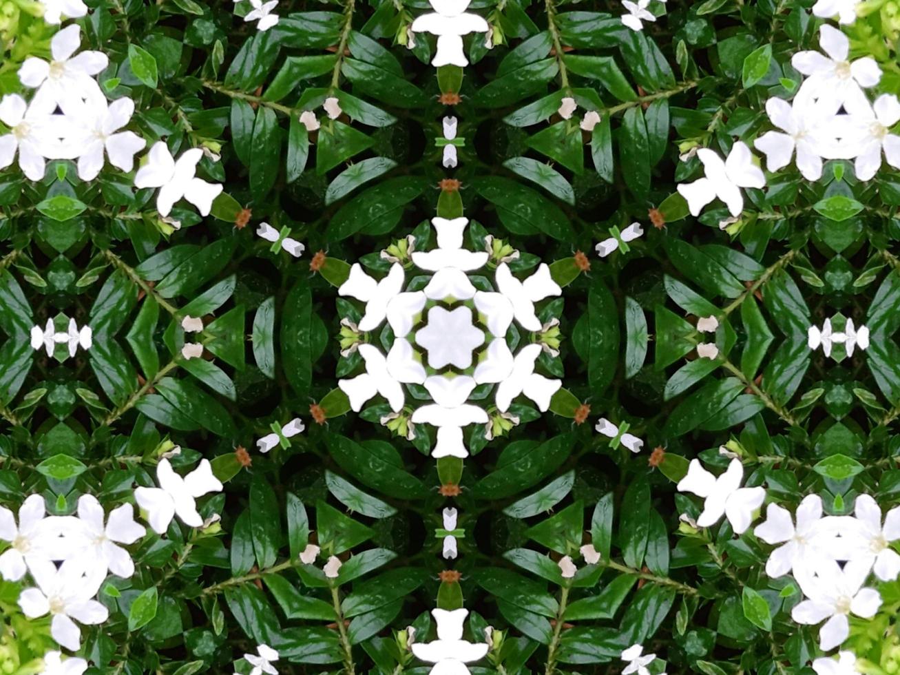 Abstract background in green color. Green leaves kaleidoscope. photo