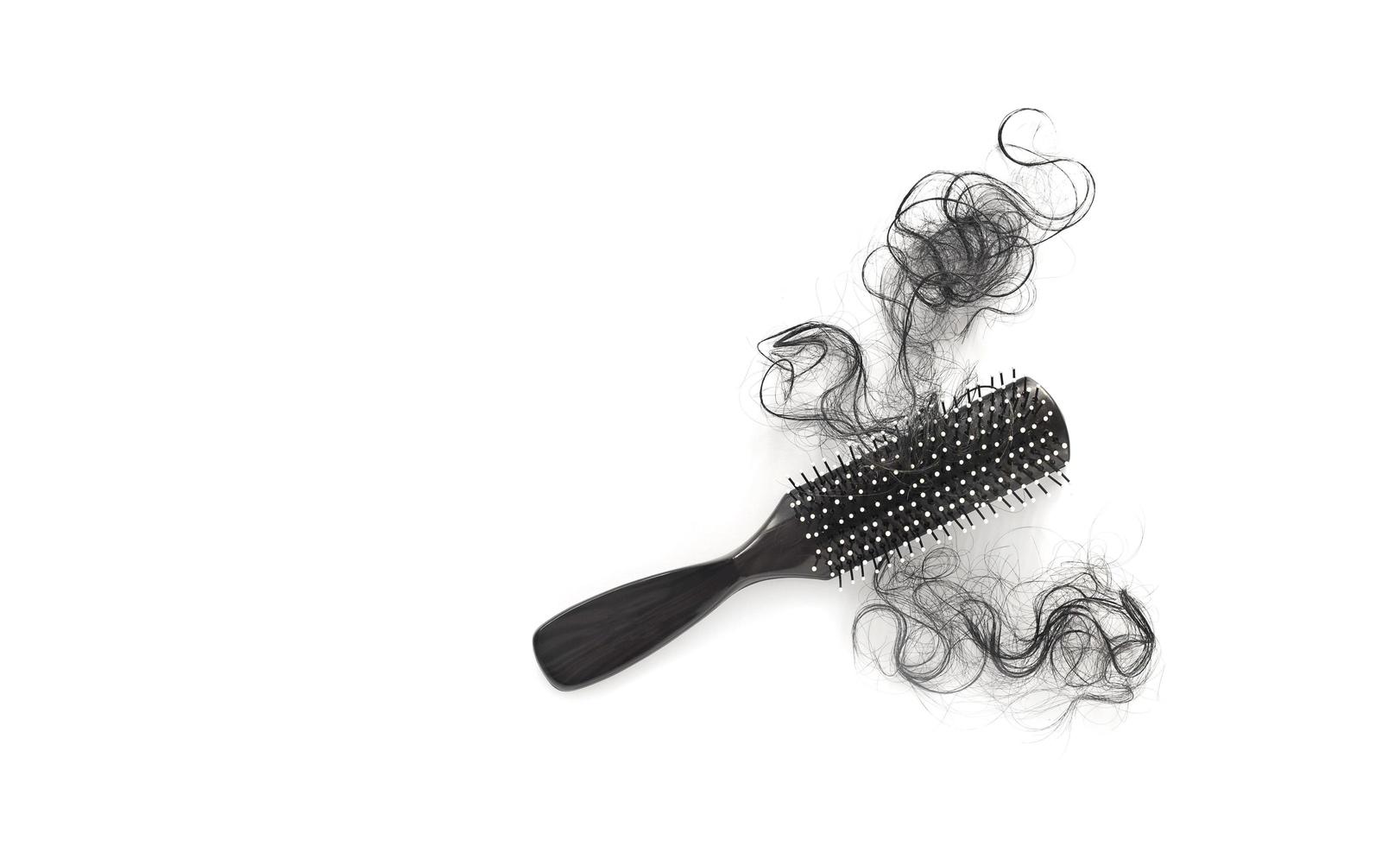 Hairs loss fall in comb on white background, blank text photo