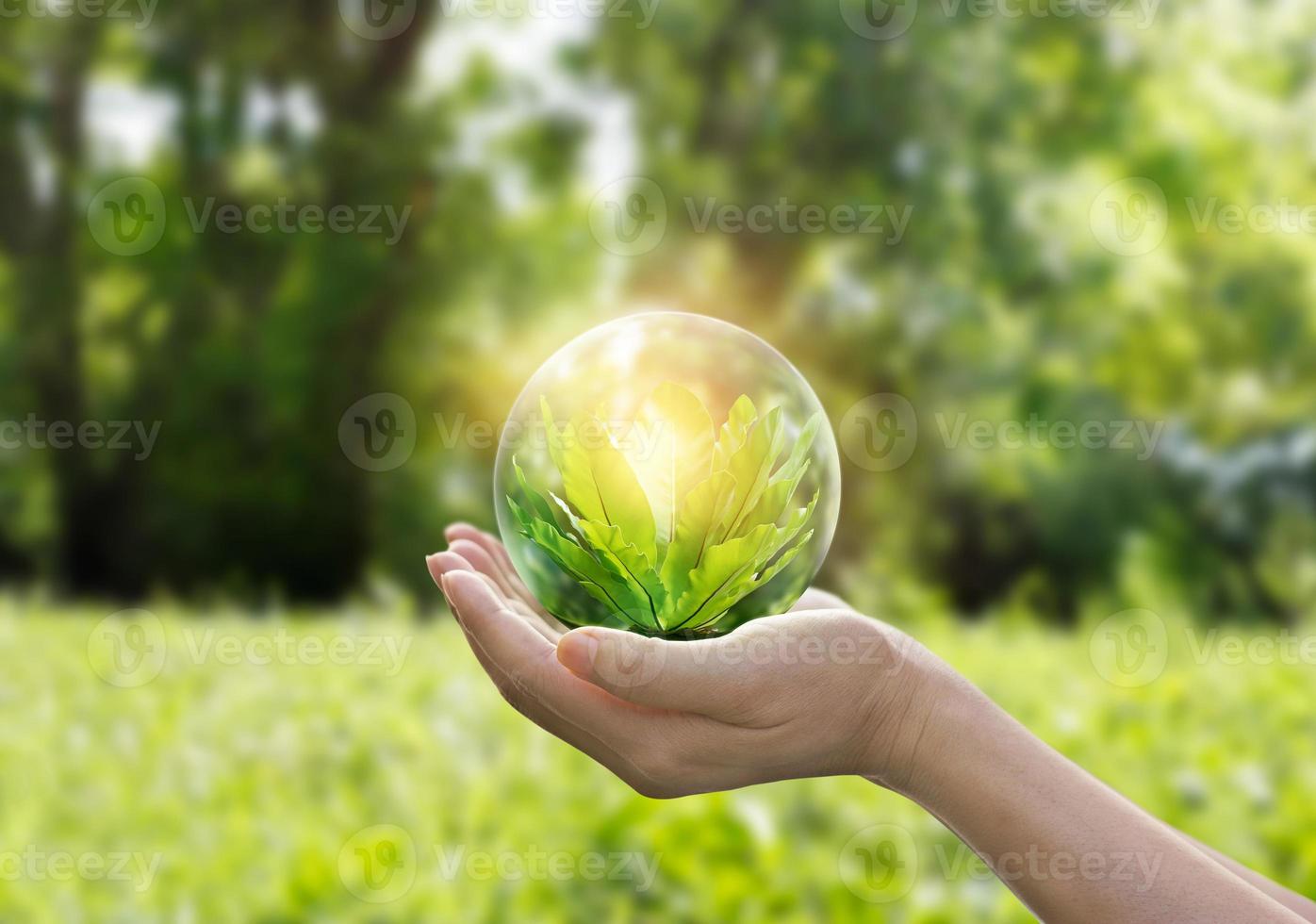 Hands protecting globe of green tree on tropical nature summer background, Ecology and Environment concept photo