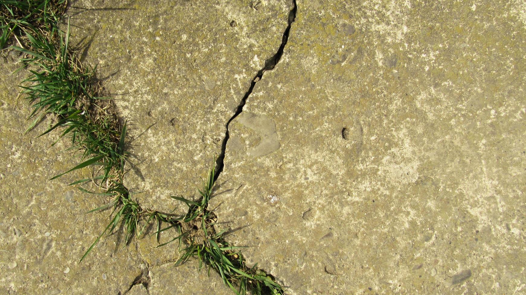 old cracked concrete. Grunge concrete cement wall with crack, for your design and background texture. stone walkway. concrete texture photo