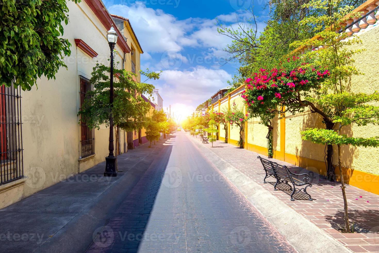guadalajara, tlaquepaque pintorescas calles coloridas durante la temporada alta de turismo foto
