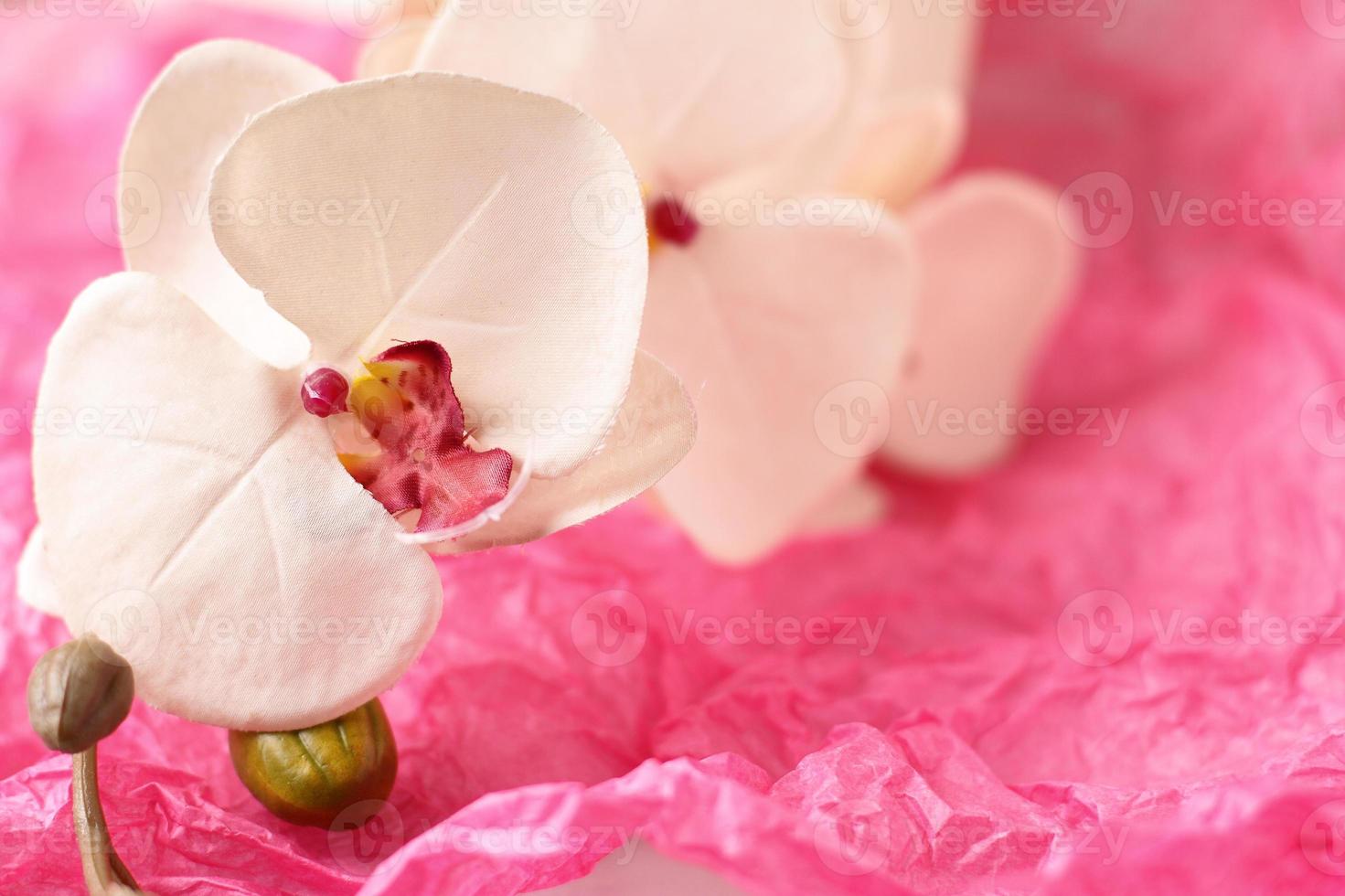 flor de orquídea sobre fondo de papel arrugado rosa, espacio de copia foto