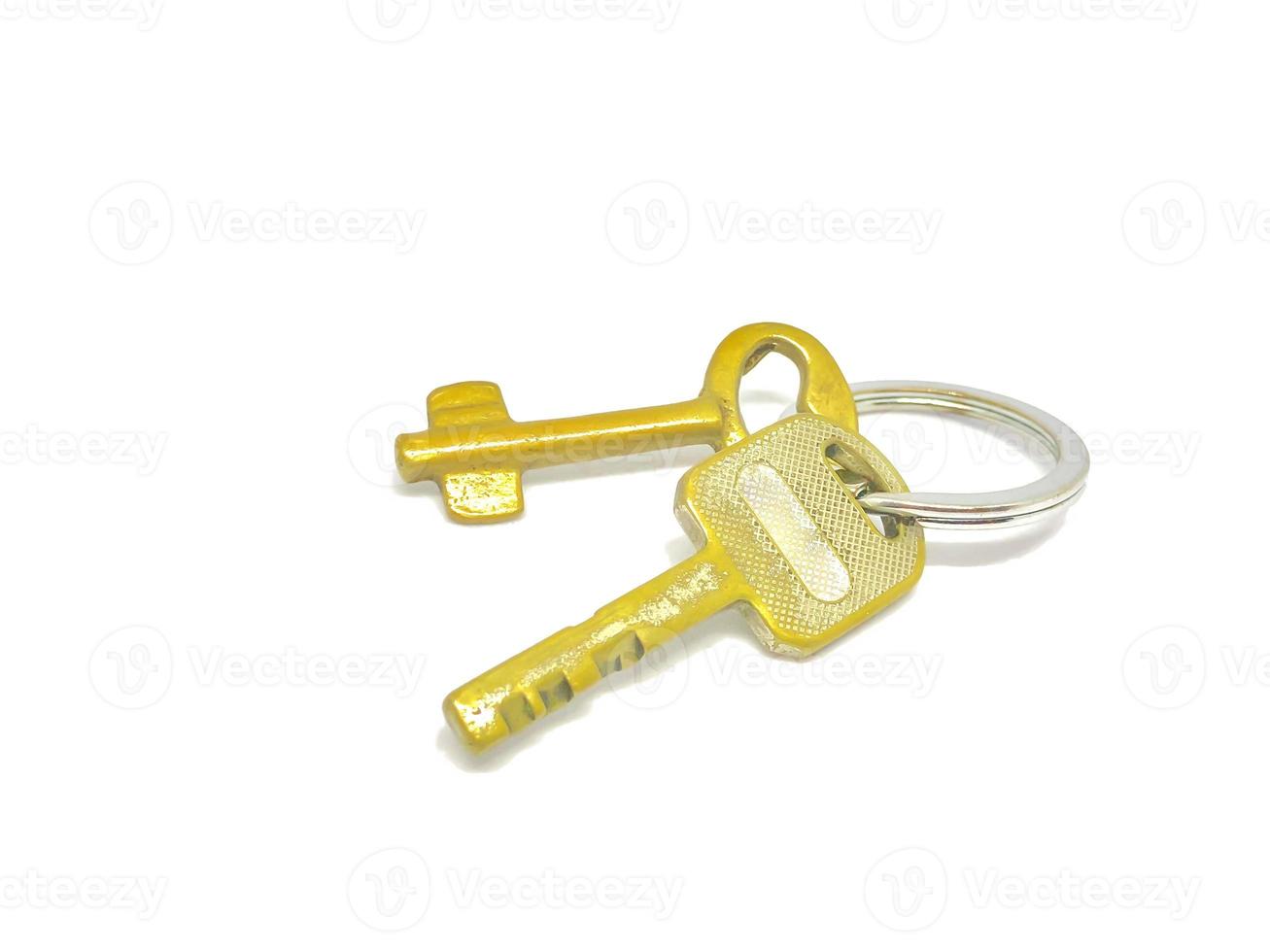 2 types of golden key in the ring with with background. photo