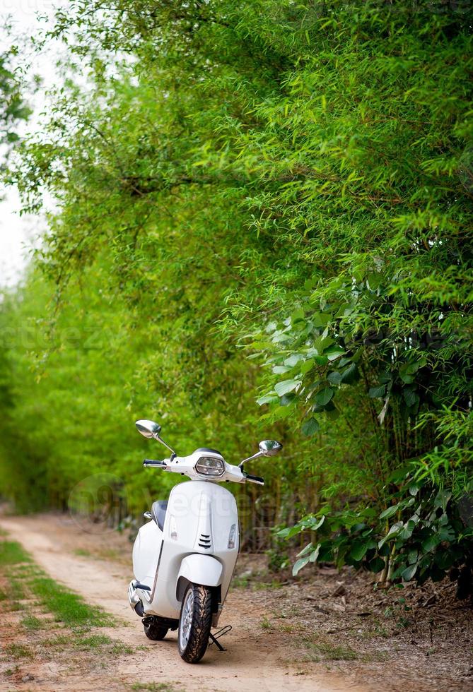 Motorbike park in the forest The fuel is exhausted. Natural tourism concept photo