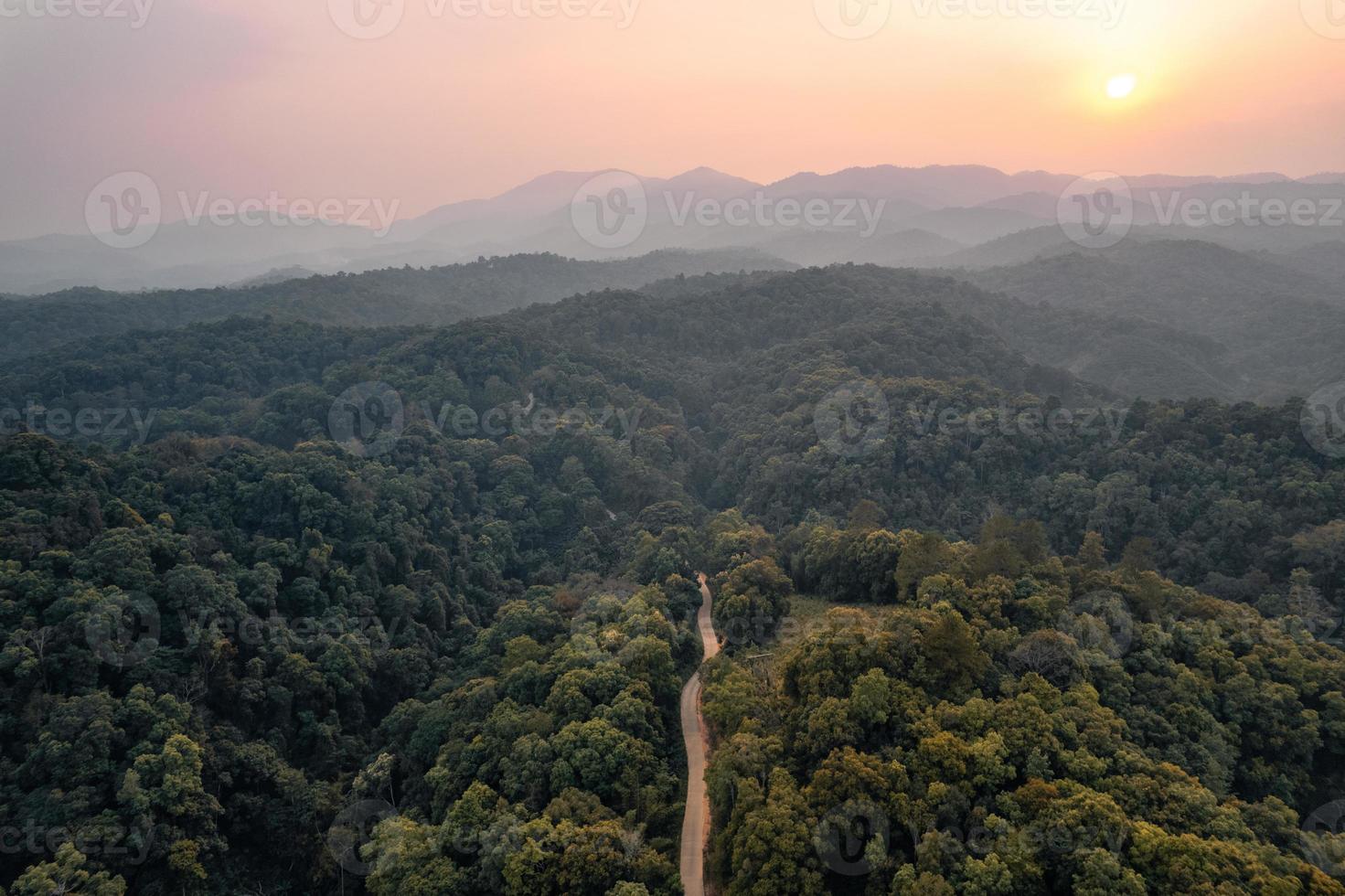 road and green trees from above in the summer forest photo