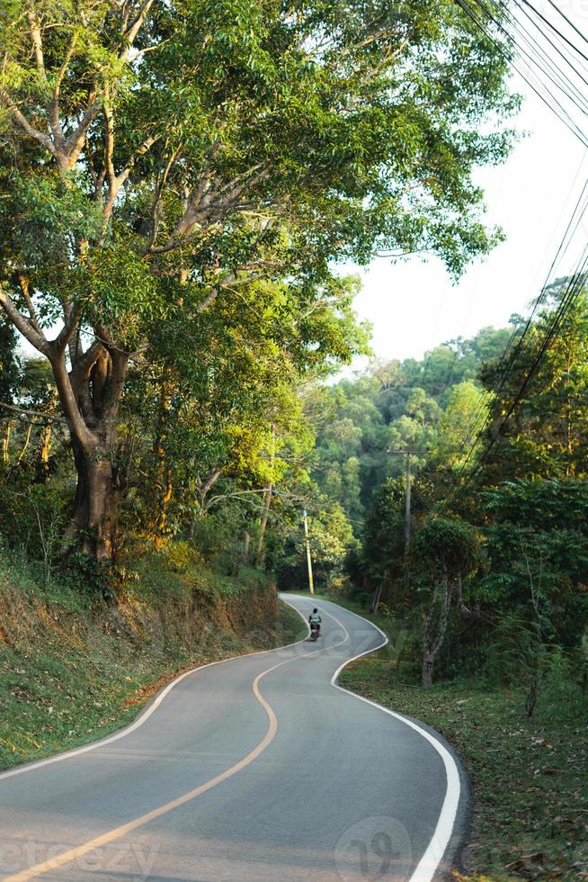 rural village roads and summer green trees photo