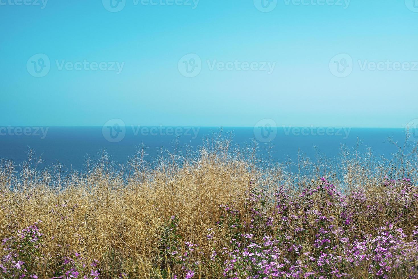 Seascape of cape Fiolent, Crimea, Ukraine in summer. Travel, annexation concept. photo