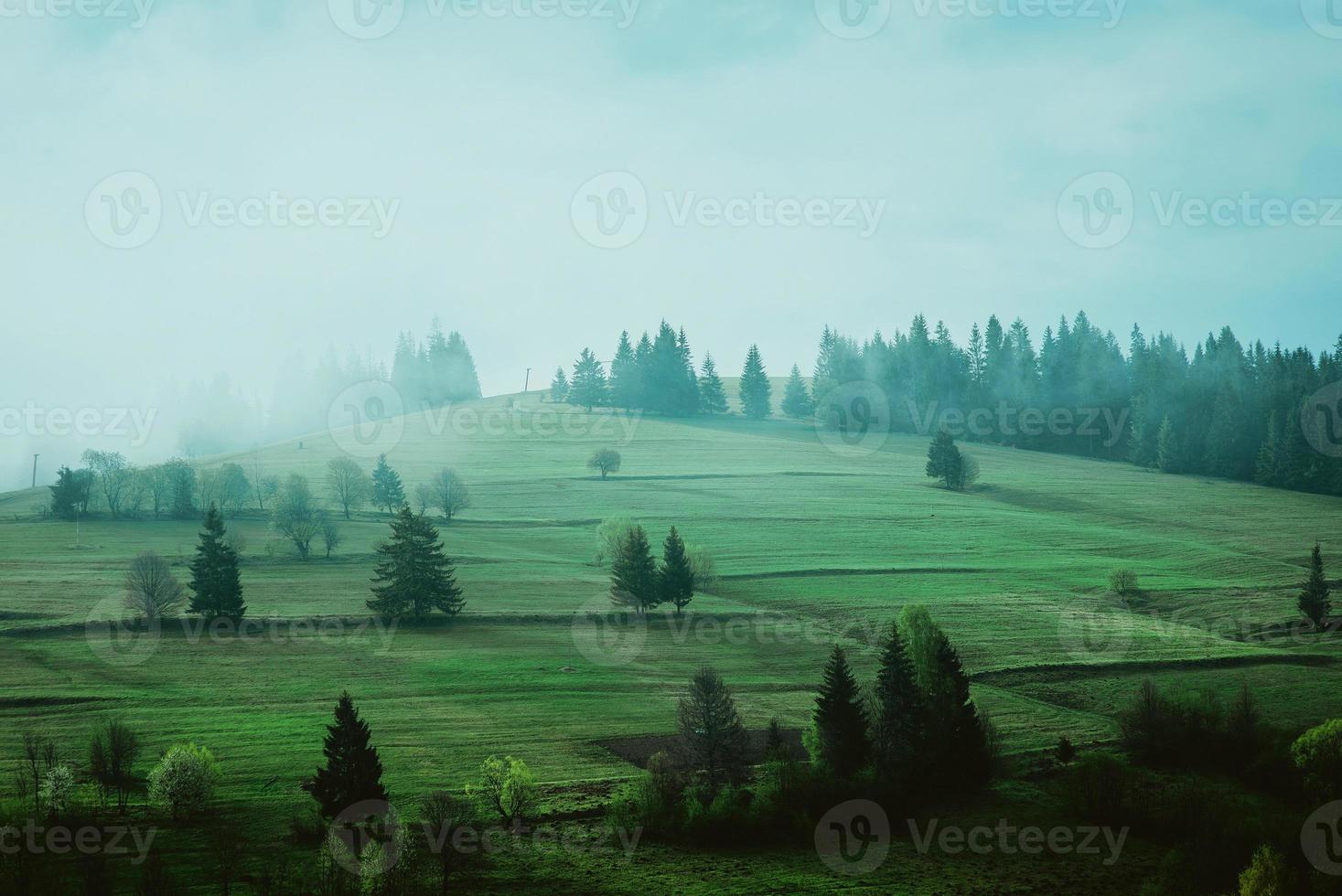 Landscape of great mountains in spring in the sunny day photo