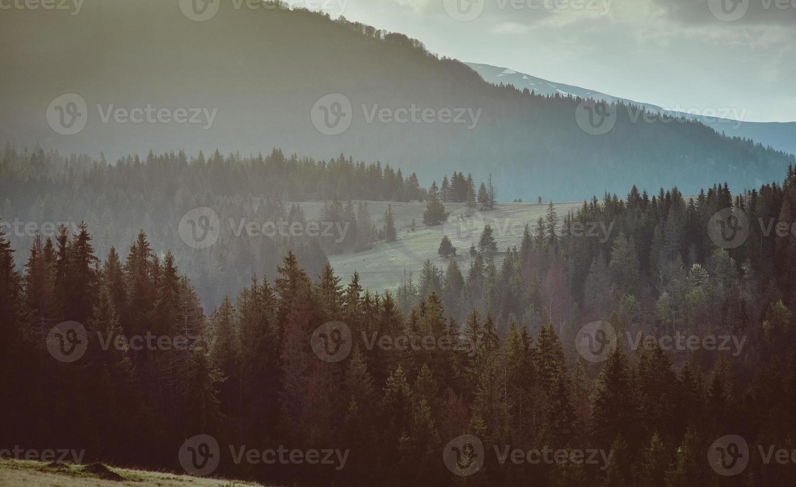 Landscape of the hill with haystacks in the great mountains in spring in the cloudy day photo