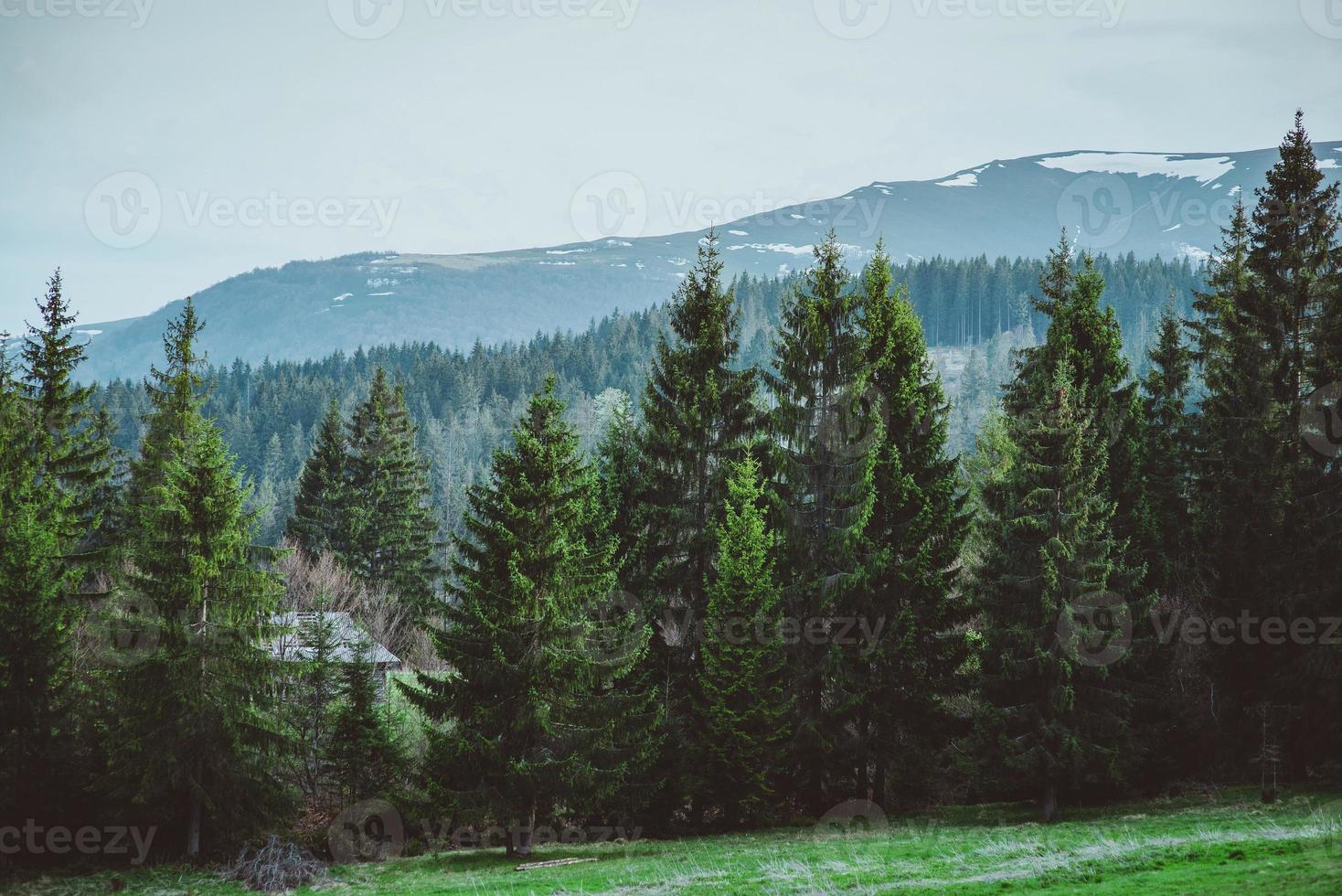 Landscape of the hill with haystacks in the great mountains in spring in the cloudy day photo