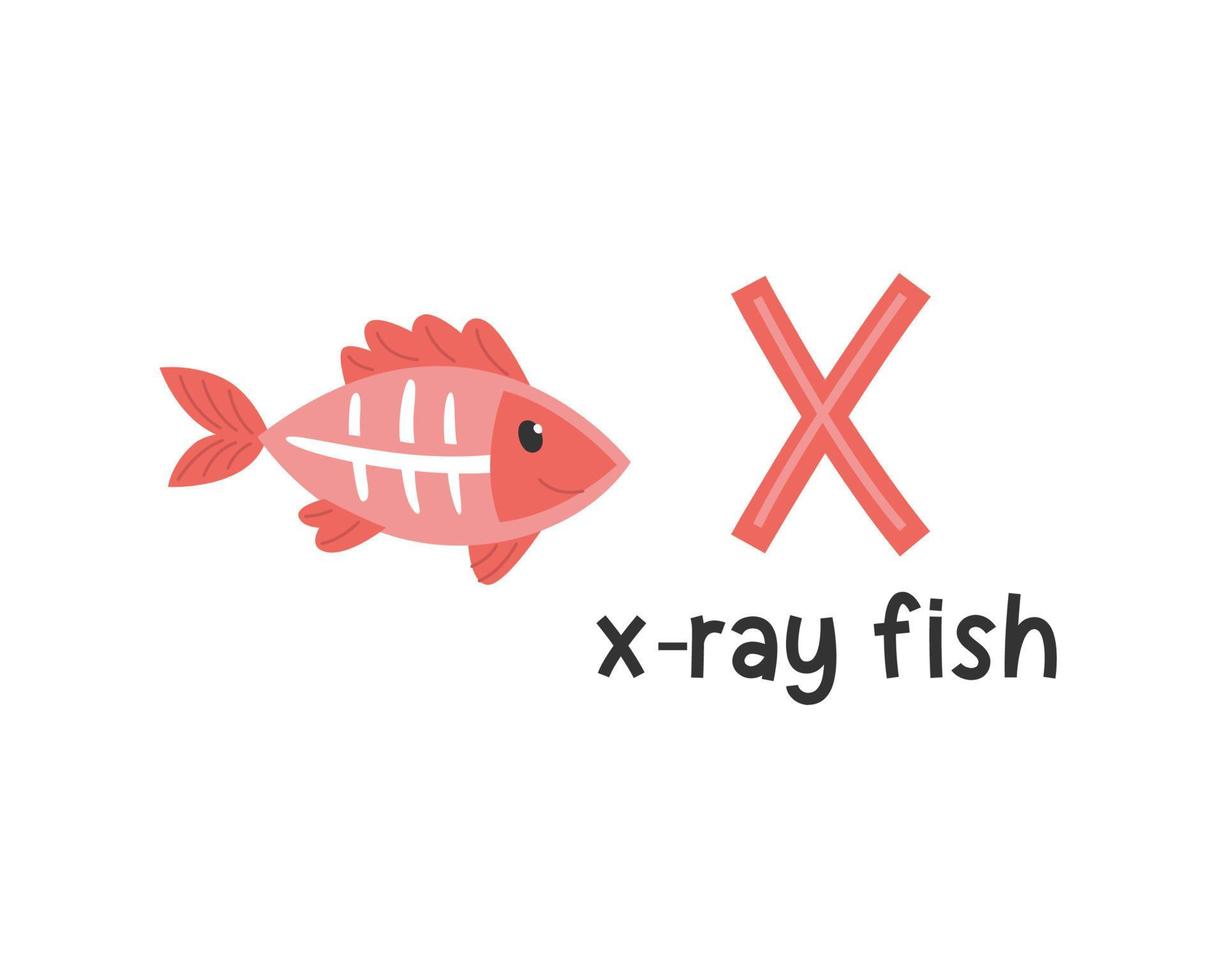 Vector illustration of alphabet letter X and x-ray fish
