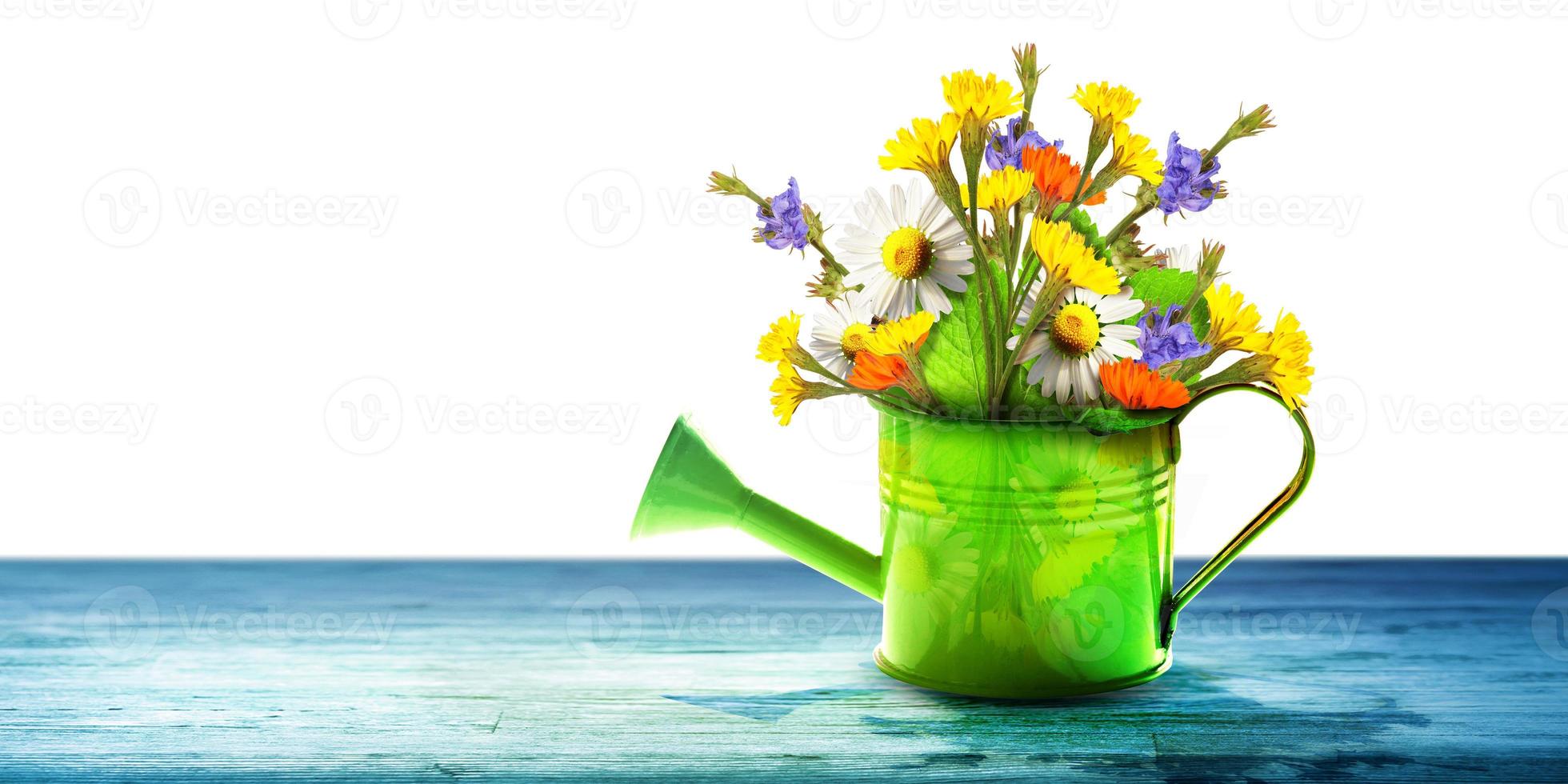 Colorful wild flower bouquet in a watering can. Concept of spring and gardening. photo