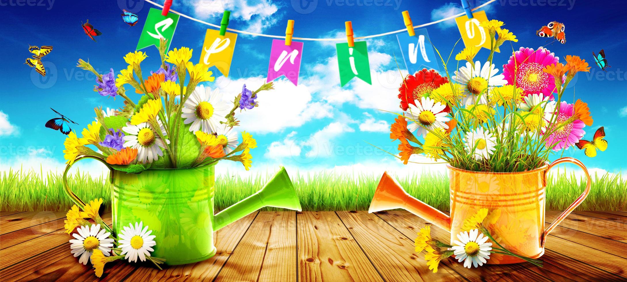 Colorful wild flower bouquet in a watering can with butterflies. photo