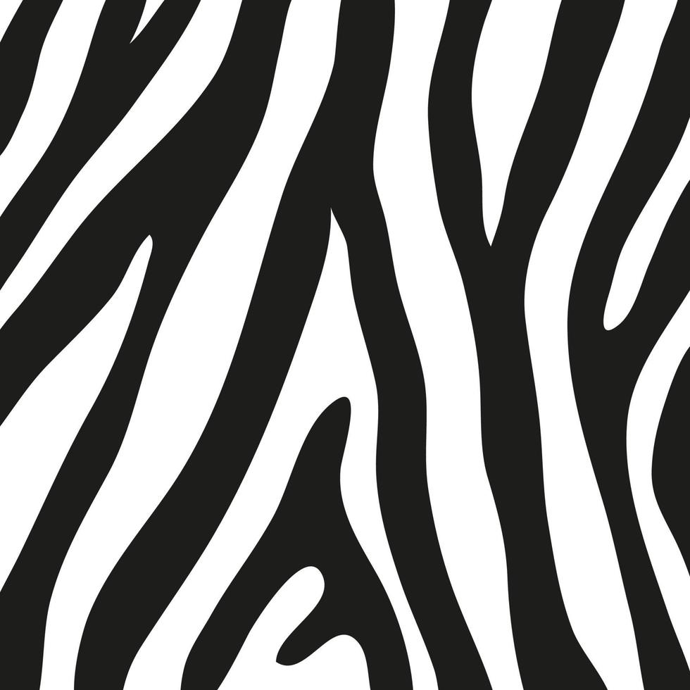 Black stripes on the skin of a zebra for decoration graphics vector
