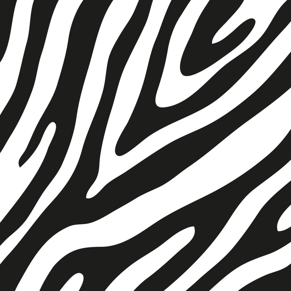 Black stripes on the skin of a zebra for decoration graphics vector