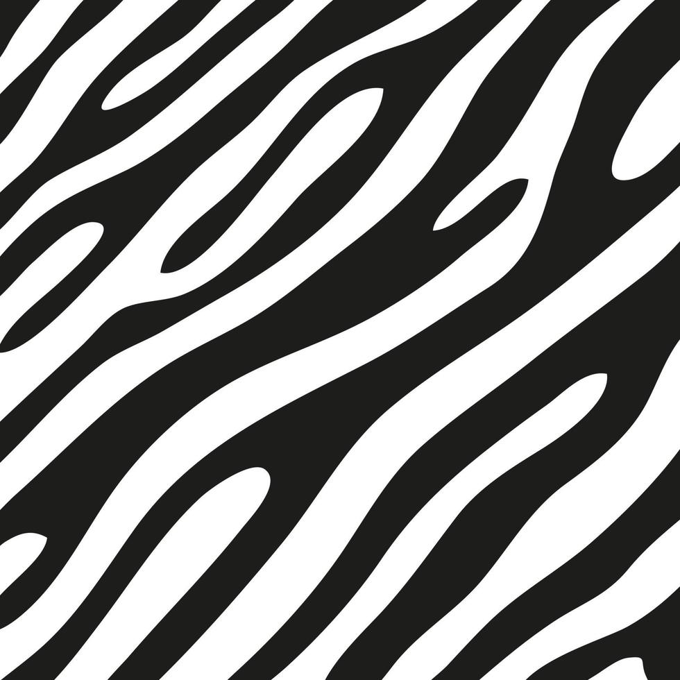 Black stripes on the skin of a zebra for decoration graphics vector