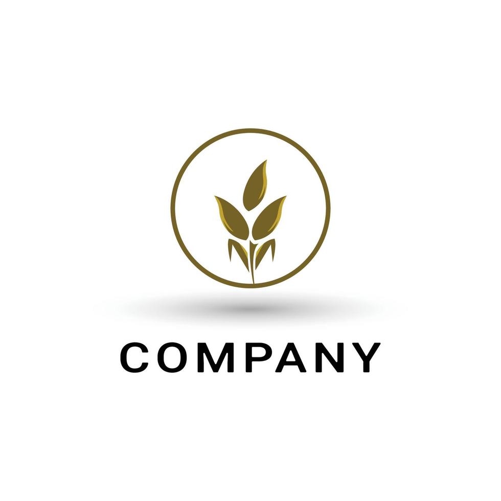plantilla de logotipo de escudo de grano de trigo vector