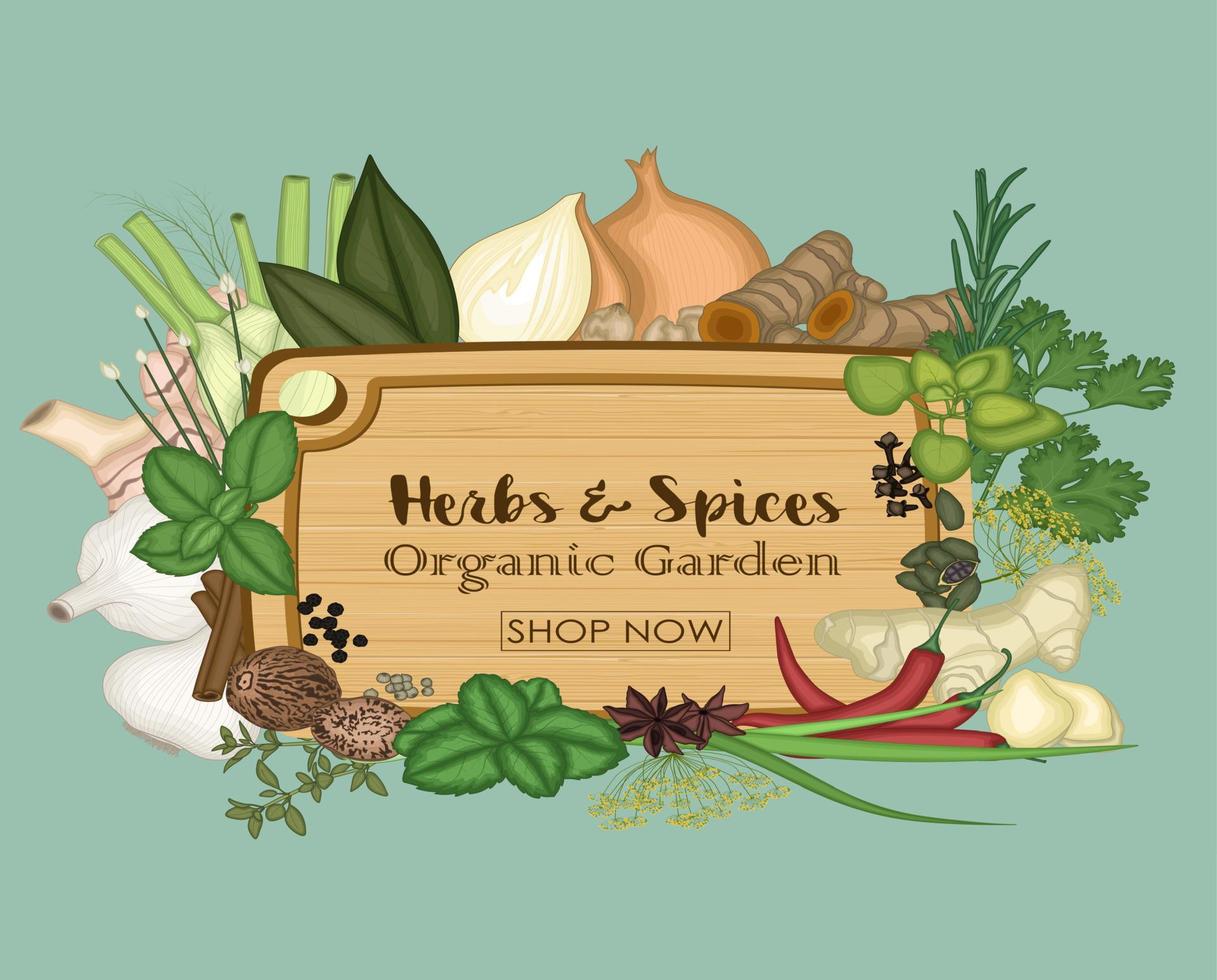 Vector illustration of Collections of spice and herb with plank wooden tray