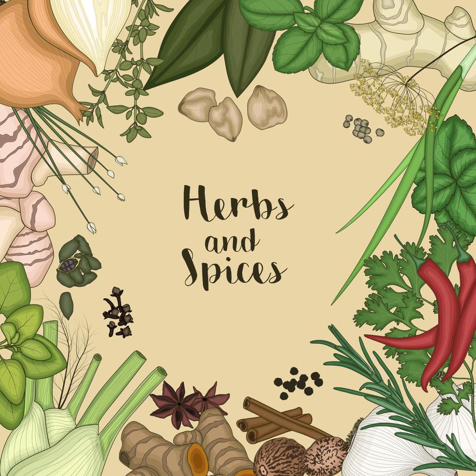 Vector illustration of Background design with herbs and spices