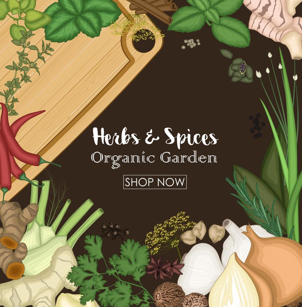Vector illustration of Collections of spice and herb with plank wooden tray