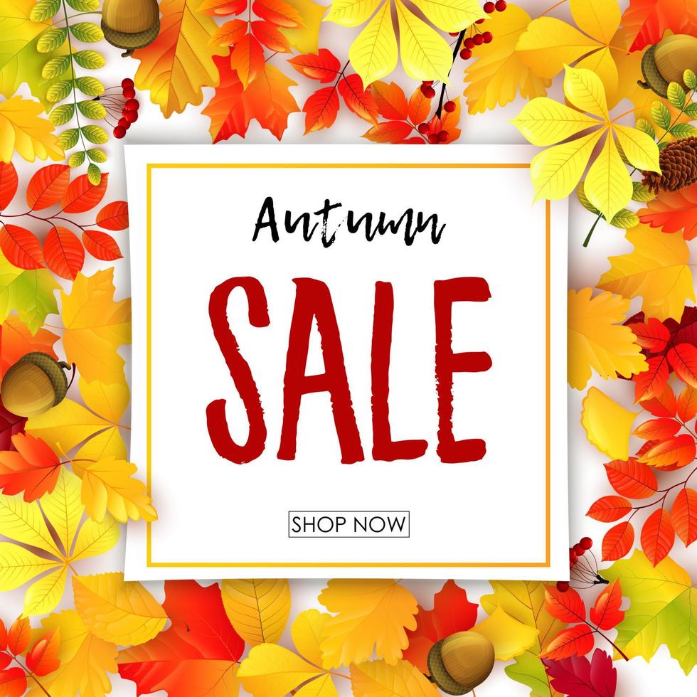 Vector illustration of Sale banner with autumn leaves