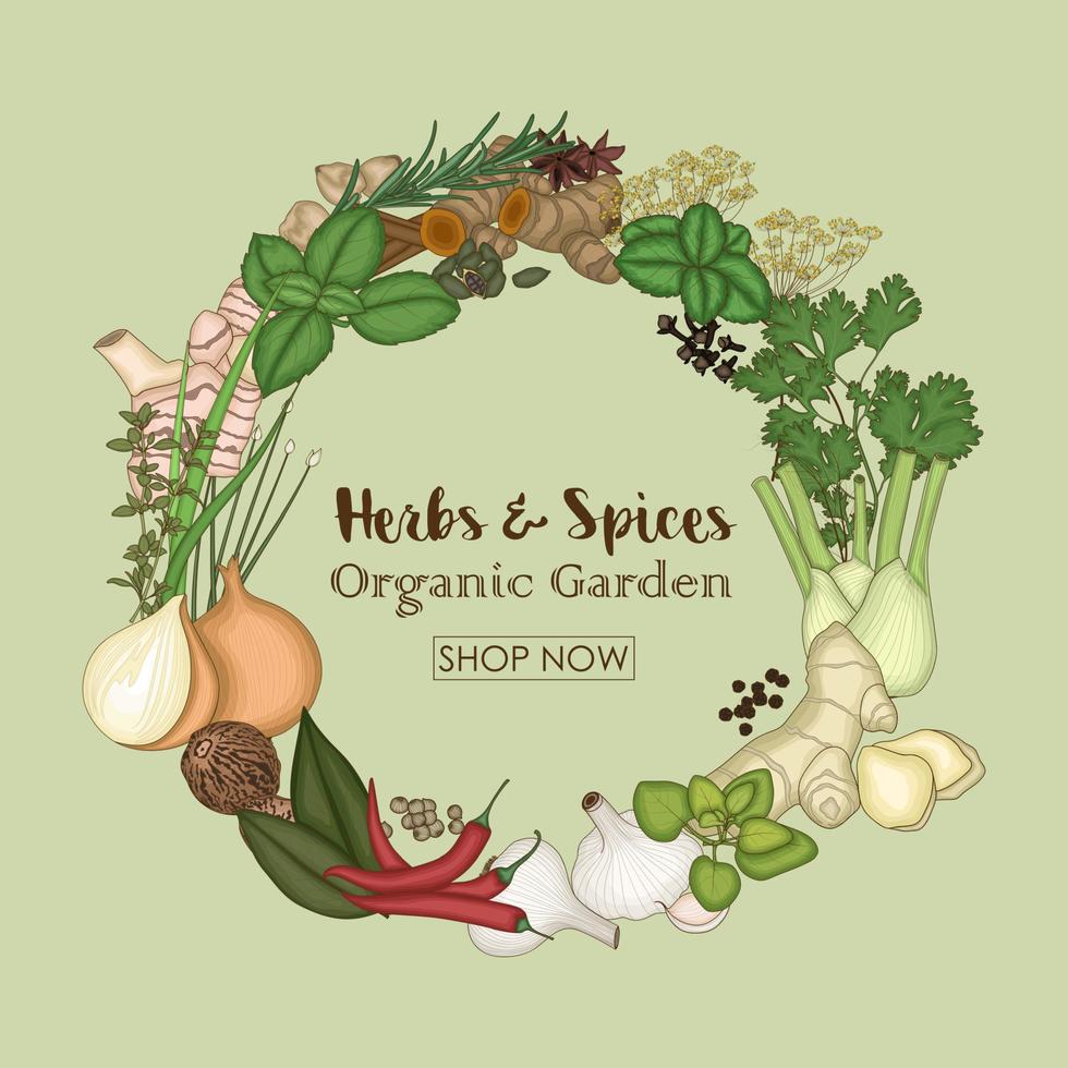 Circle wreath template with spices and herbs vector