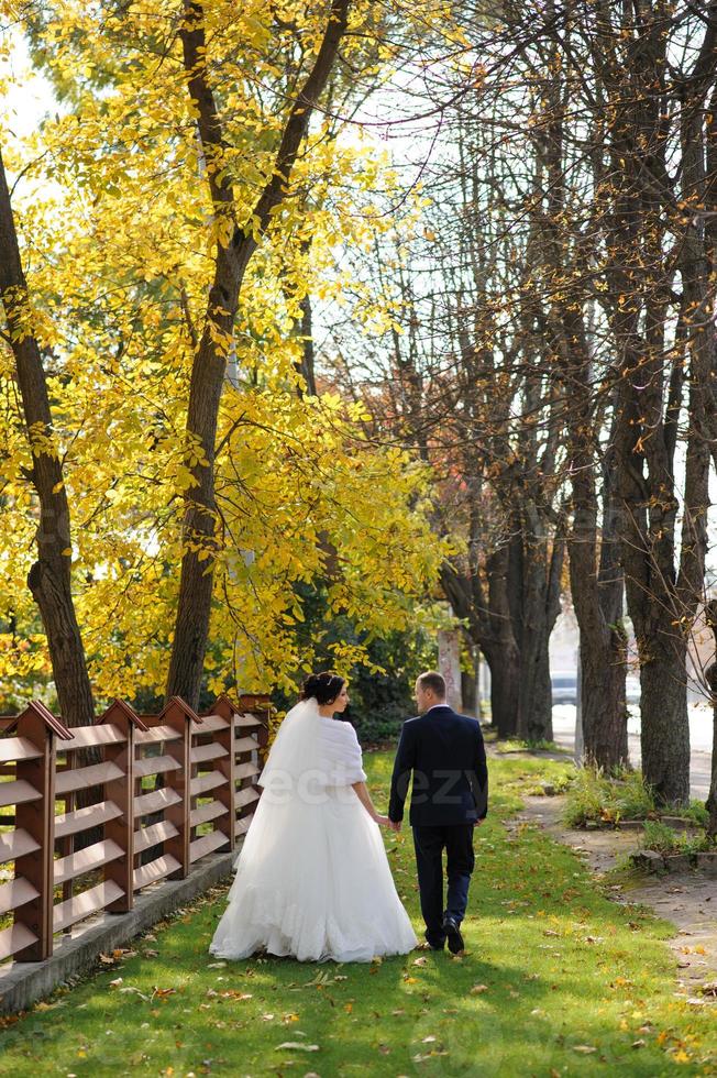 The bride and groom on the background of the autumn park. photo