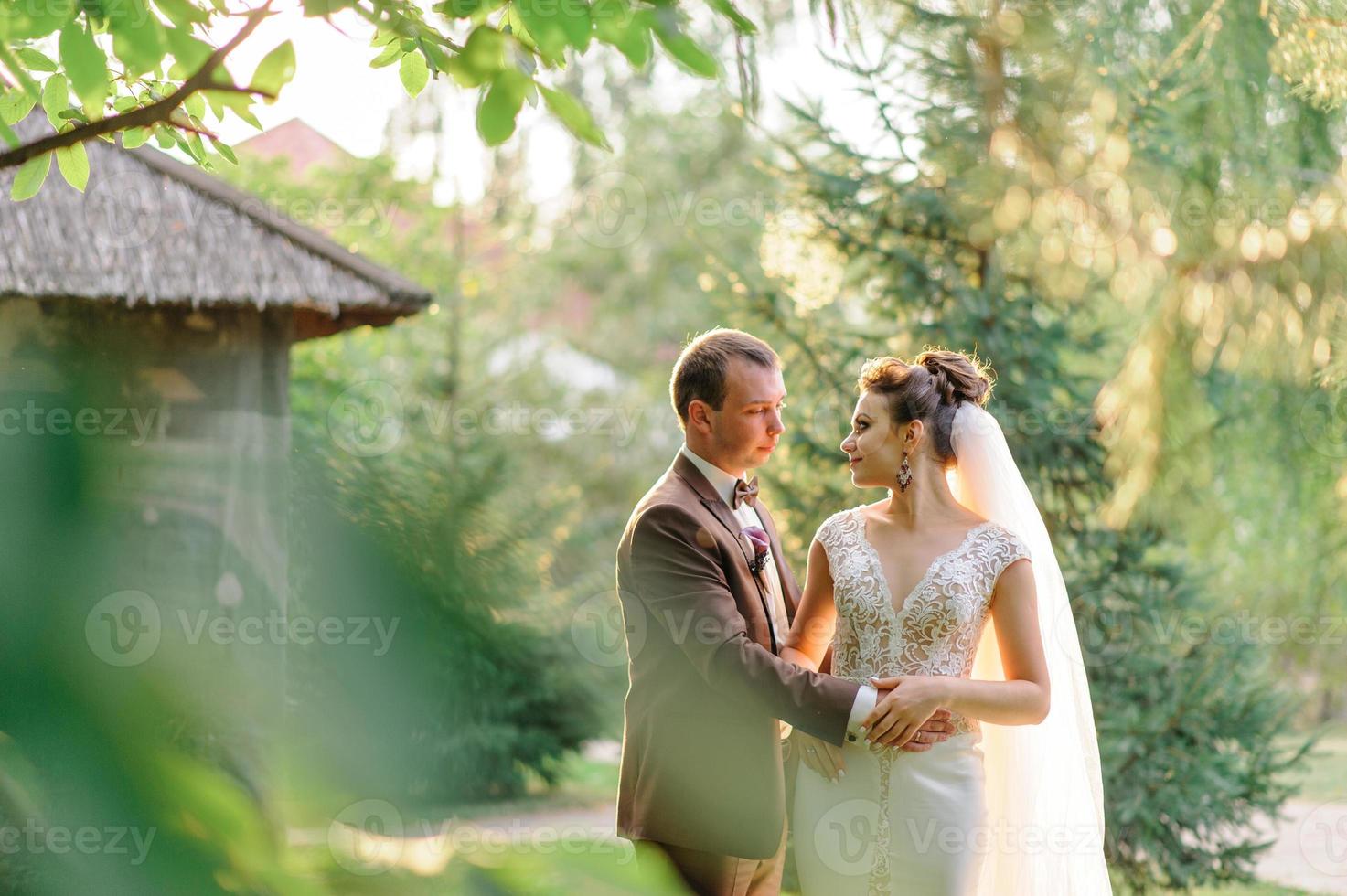 Evening photo session of the bride and groom in nature