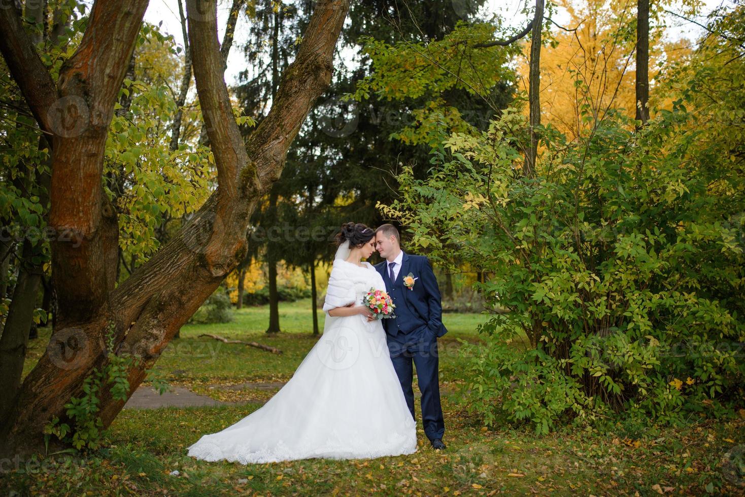 la novia y el novio en el fondo del parque de otoño. foto