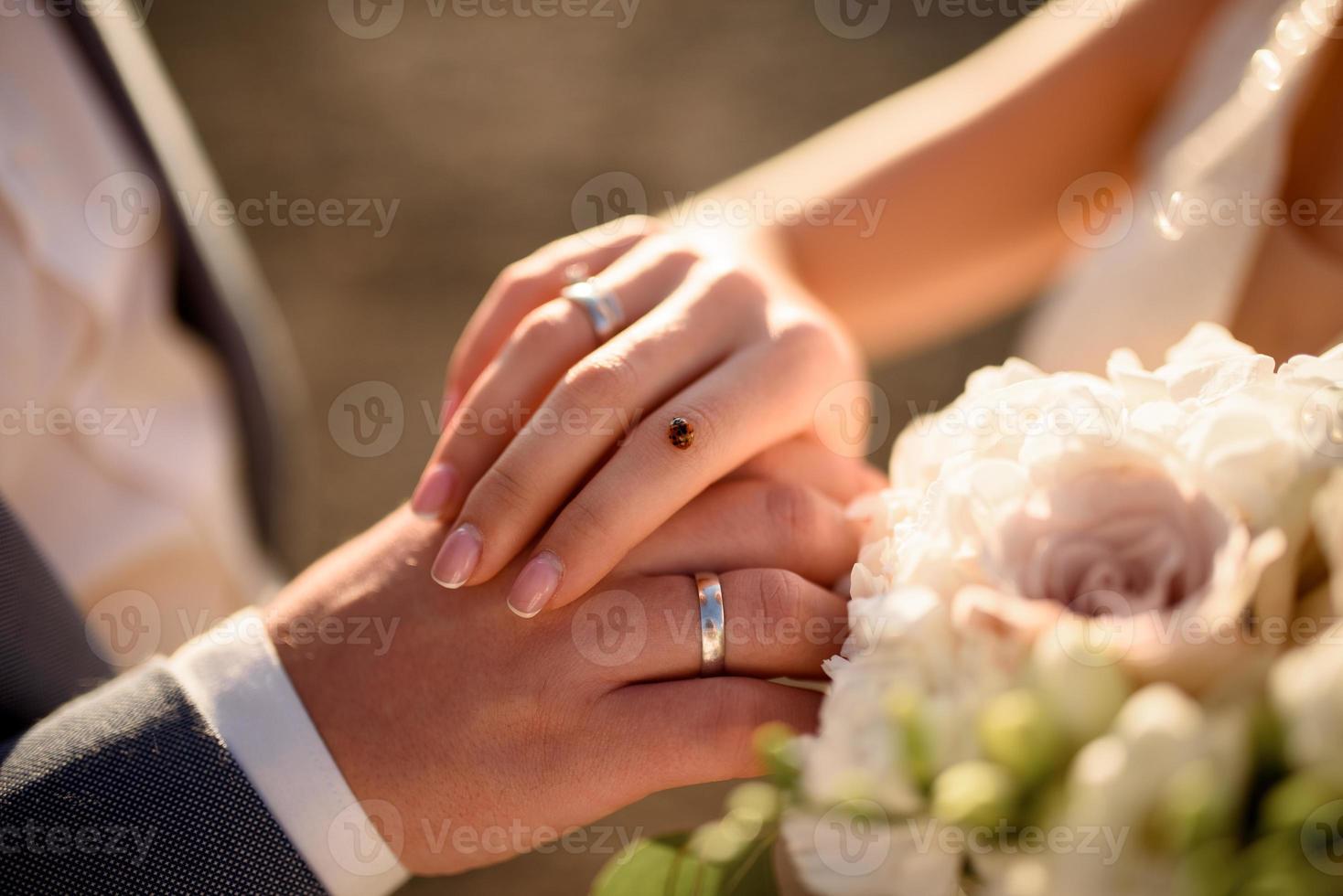 Ladybug sat on the bride hand. photo