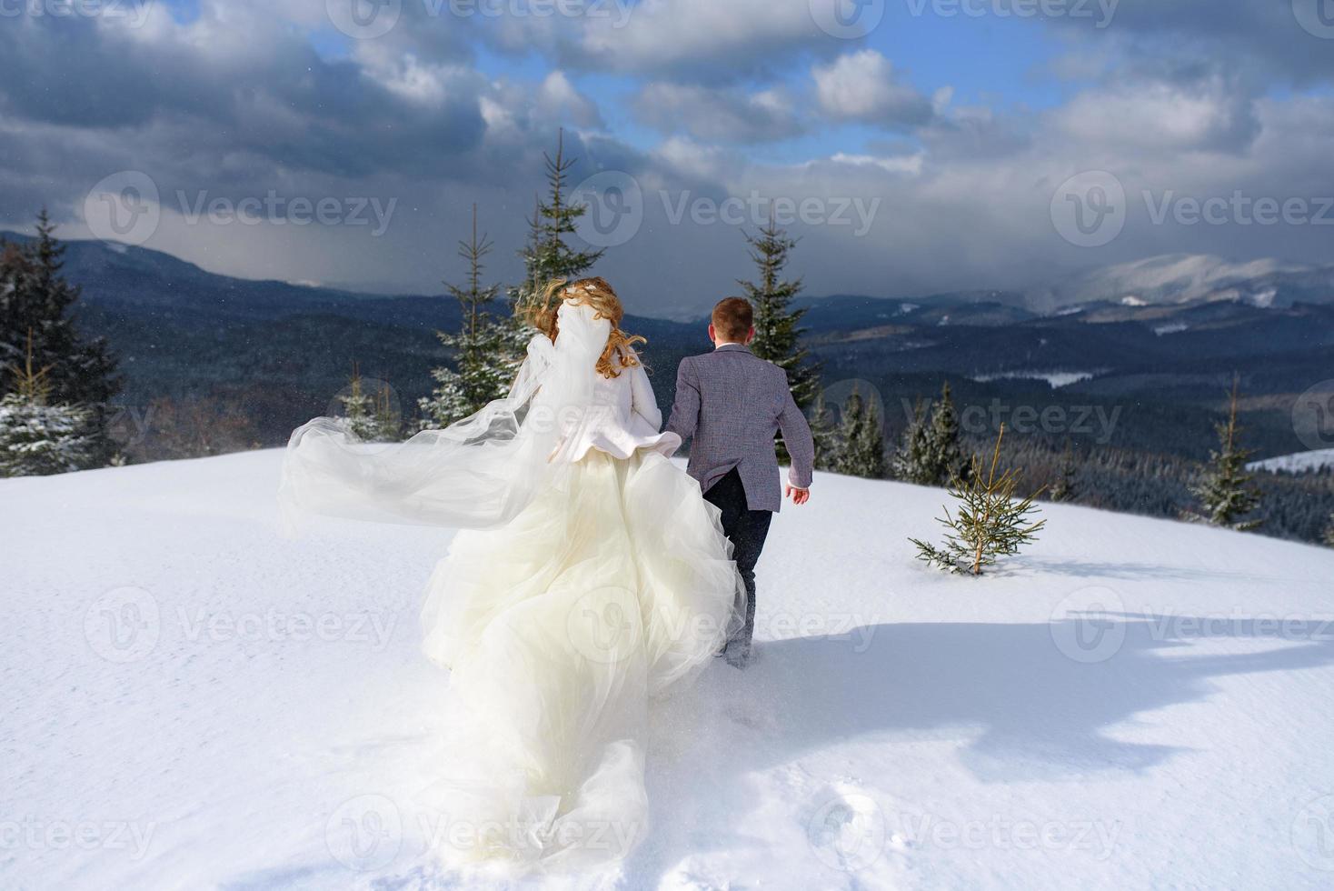 The groom leads his bride by the hand to a lonely old beech. Winter wedding. Place for a logo. photo