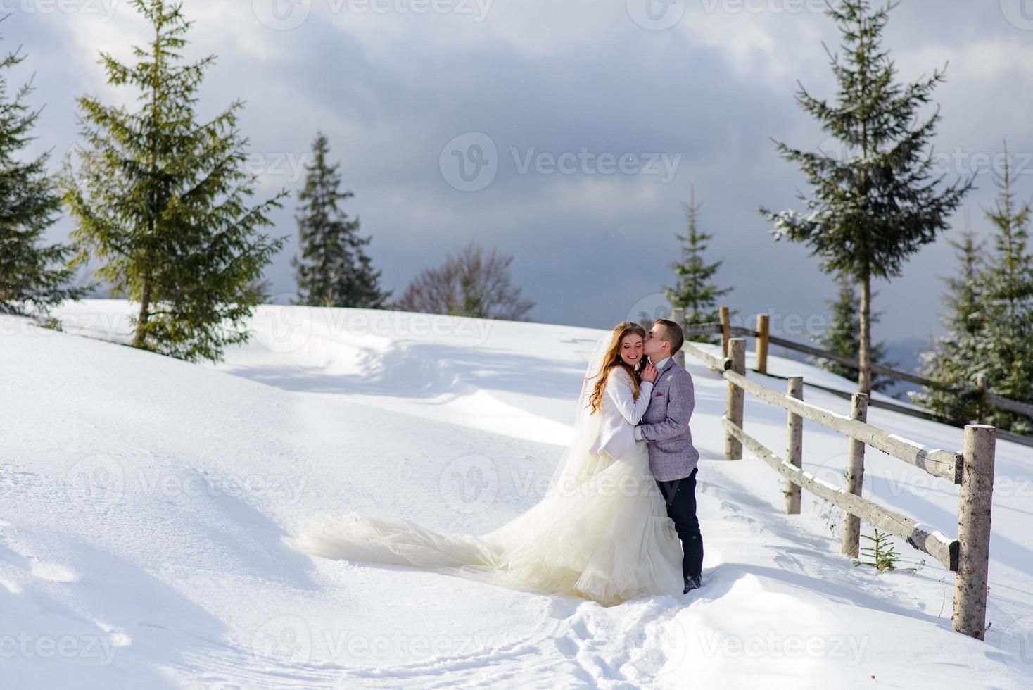 The groom leads his bride by the hand to a lonely old beech. Winter wedding. Place for a logo. photo