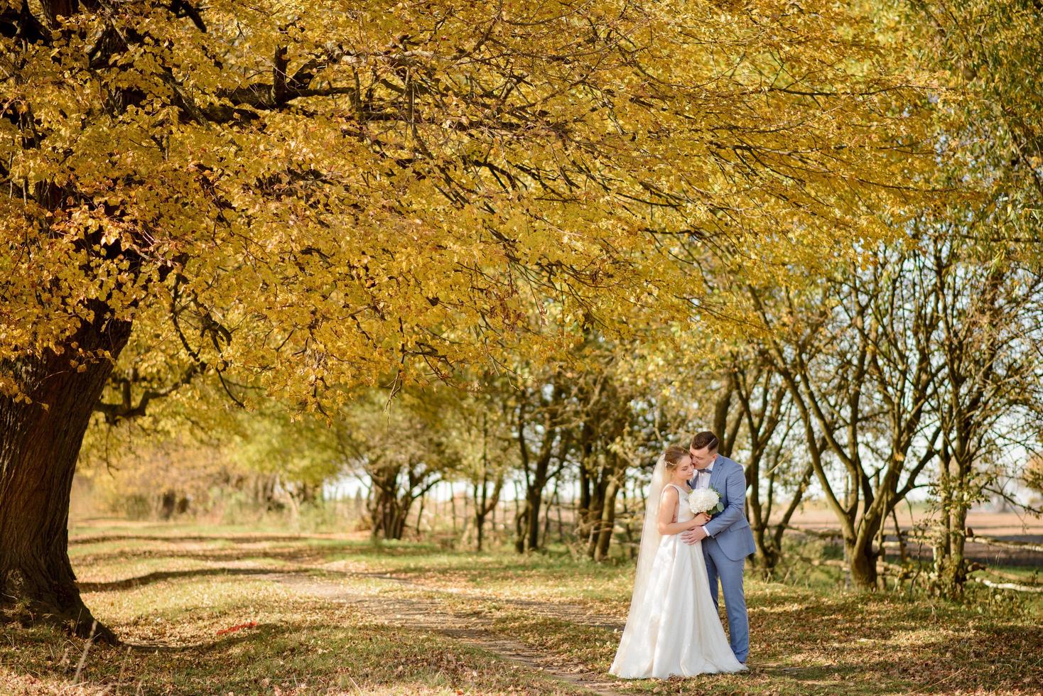 hermosa joven pareja abrazándose en sus vestidos de novia en el parque de otoño. foto