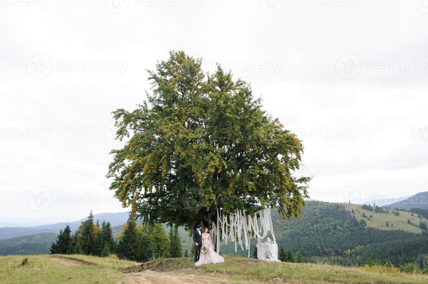 la novia y el novio se abrazan bajo un viejo roble. sesión de fotos de boda en las montañas.