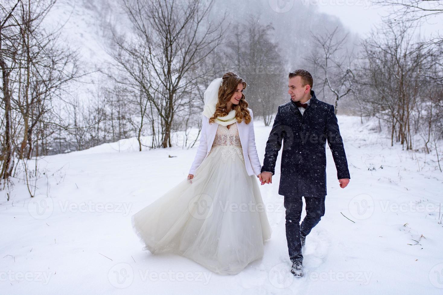 The groom leads his bride by the hand to a lonely old beech. Winter wedding. Place for a logo. photo