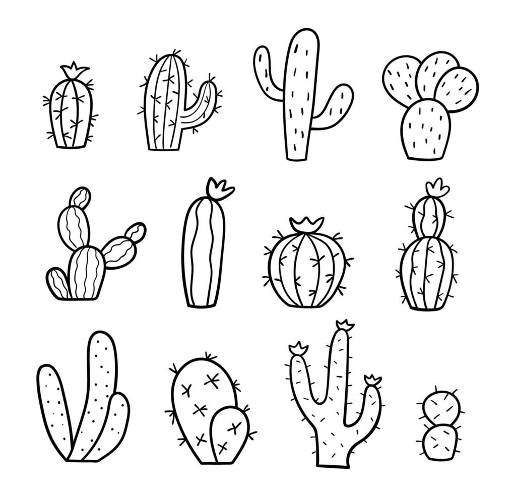 conjunto de cactus dibujados a mano. bosquejo del garabato. colección de plantas exóticas. ilustración vectorial lineal. vector