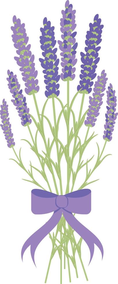 Bouquet of Lavender Tied with a Purple Bow vector