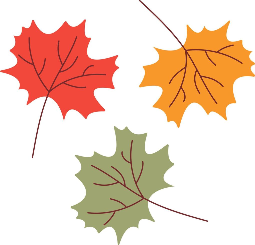 las hojas son un elemento de decoración de otoño vector