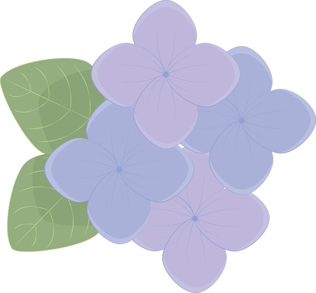 elemento decorativo flor de hortensia morada vector
