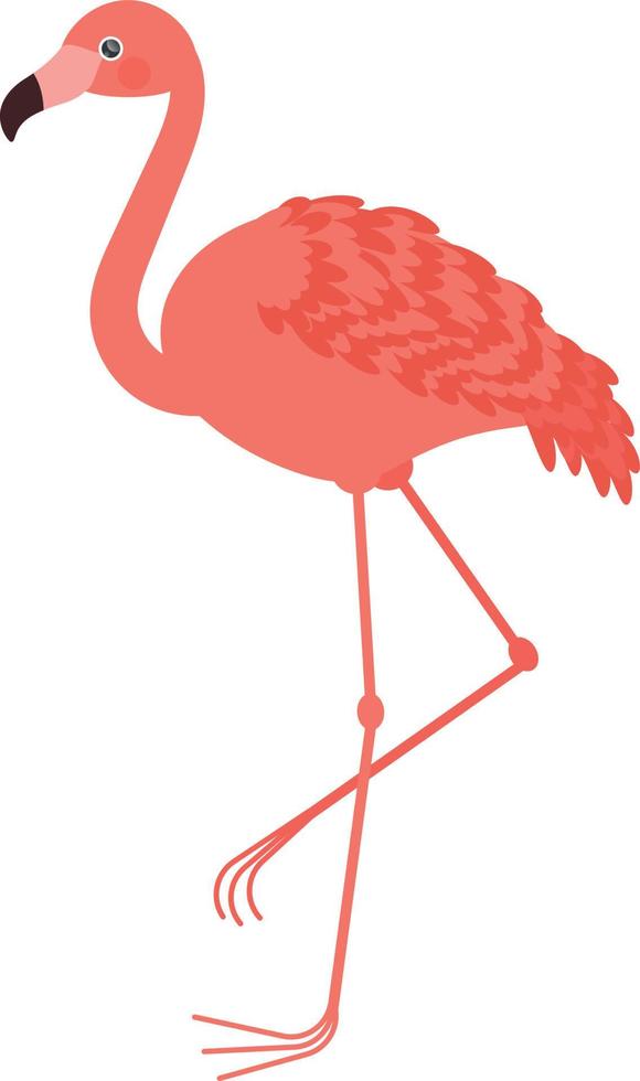 Cute Flamingo Kids Illustration Drawing for Books Magazines Learning Cards Africa Animals vector